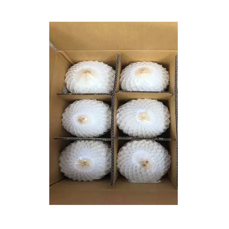 Shell Part Diamond Cut Shape coconut fresh coconut young coconut- cocobe export from Thailand