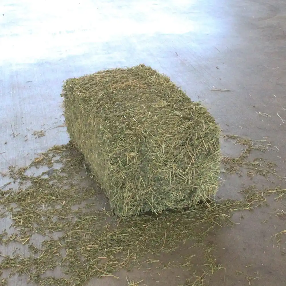 Best Alfalfa Hay Special Prices and Shipping for Gulf Region and Arab Countries