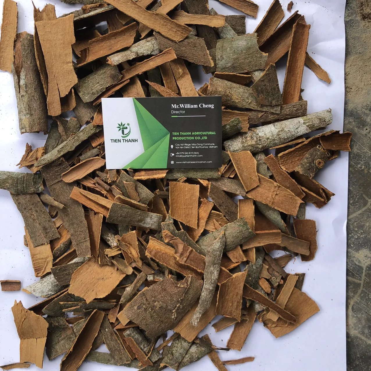 Kaneelbaum Broken/ Cinnamomum zeylanicum Blume/ Darchini New Crop 2021