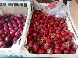 FATORY Baobab Strawberry Bites