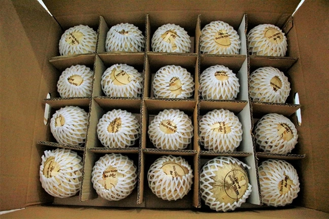  Сладкая вода свежая нежная Кокосовая зеленая молодая кокосовая