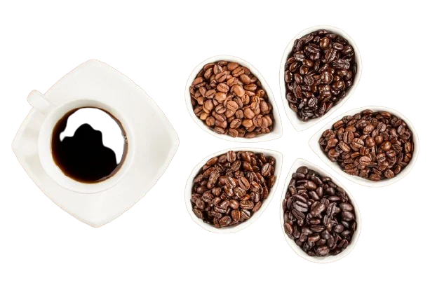 
High Quality Coffee Beans from Vietnam TOP SALE - Natural Robusta / Arabica Coffee with ISO 