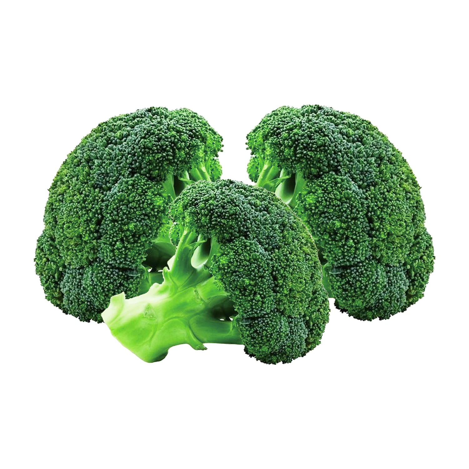 
High Quality Fresh Vegetable Green Broccoli 
