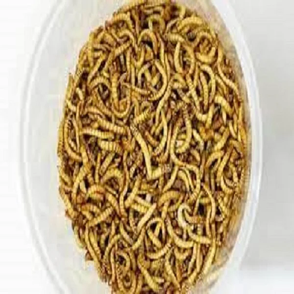 BULK IN STORE WORM MEAL