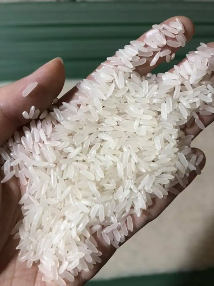 PURE PERFUME JASMINE RICE / PUR PARFUM RIZ JASMIN - WS: +84339249239 (Ms. Felicia )