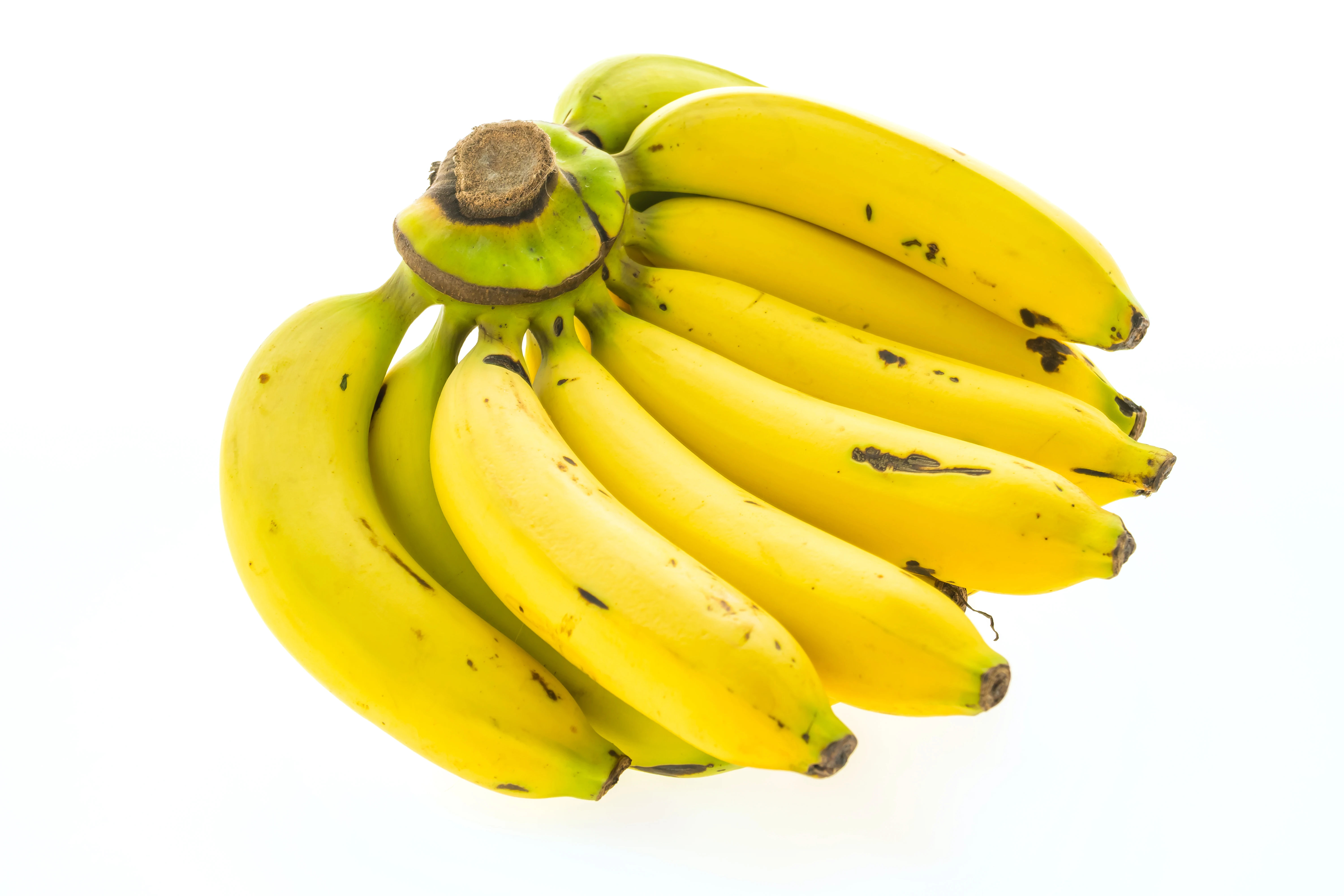 Top Quality Organic Fresh Fruit Green or Yellow 10-15cm Long Fresh Banana Cavendish Banana From Malaysia