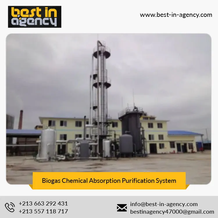 CH4 Content 97% Dry Biogas Chemical Absorption Natural Gas Upgrading Purification System Manufacturer
