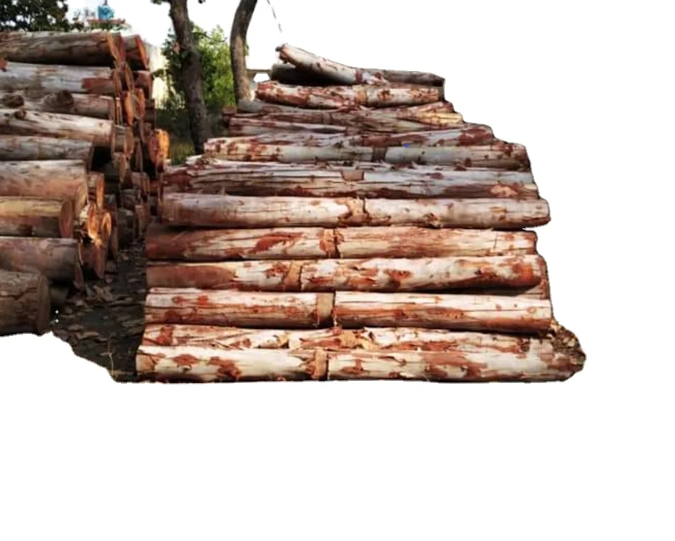 Quality Hardwood Log Ebony wood log Teak Wood - Round Logs / Pine logs / Eucalyptus Logs