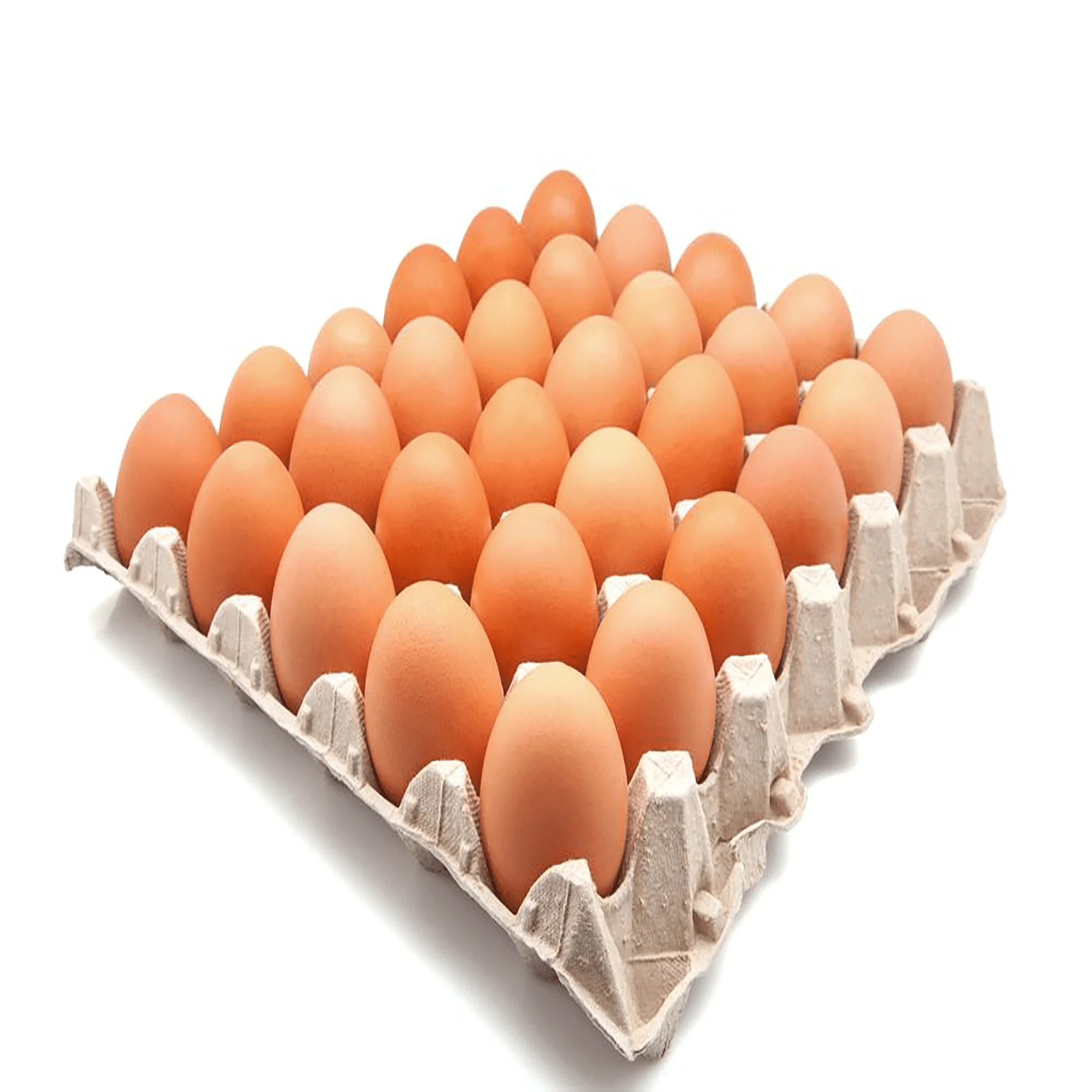 High Quality Fertile Hatching Chicken Egg/Fresh Chicken Table Eggs