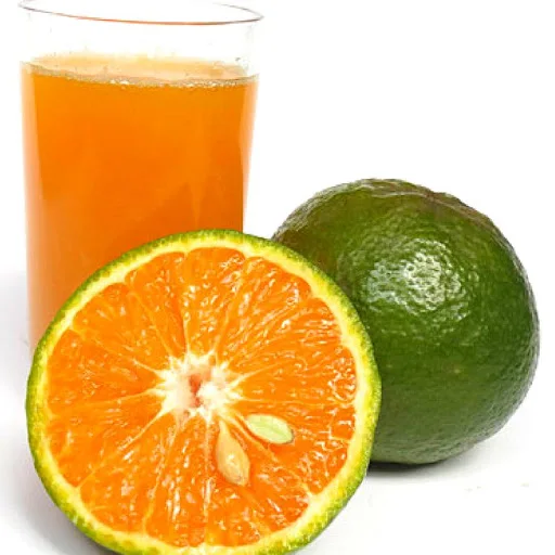 Fresh Wholesale Sweet And Succulent Orange