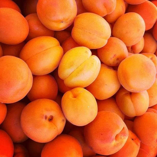
Fresh Apricot / Dry Apricot 