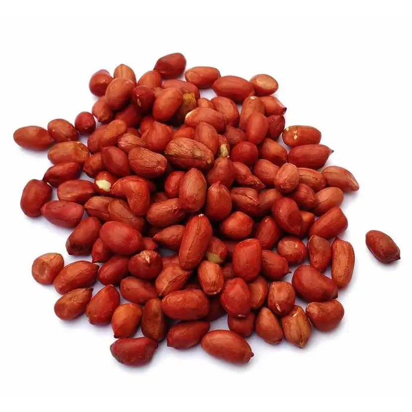 Healthy snack high protein raw peanut kernels peanut price from Uzbekistan manufacturer wholesale for export