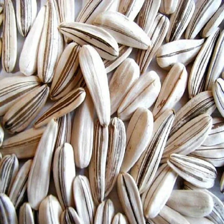 Tasty - Sunflower Seeds