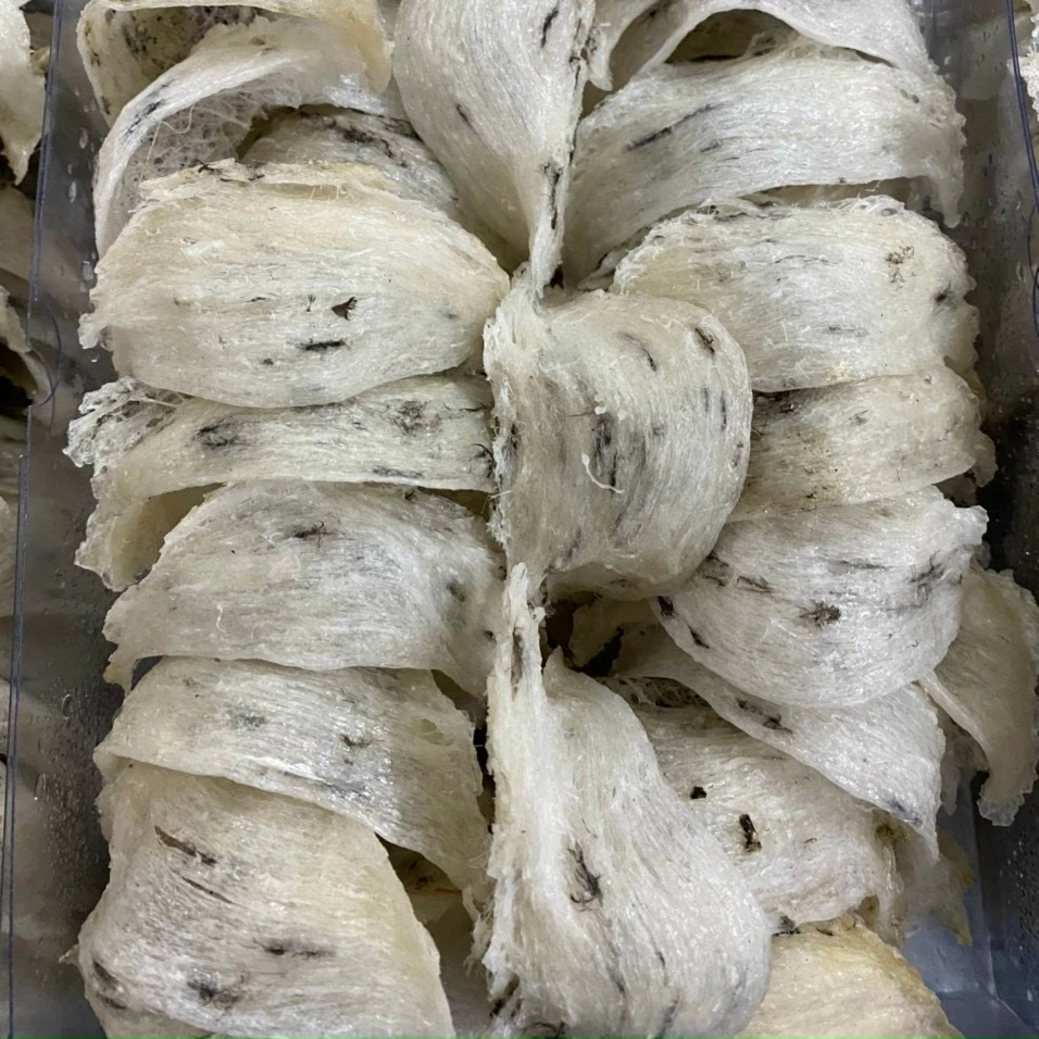 Best Price Vietnam Raw Swallow Bird Nest Manufacture Type A OEM Service Reliable Slight Fishy Taste Rich Nutritious