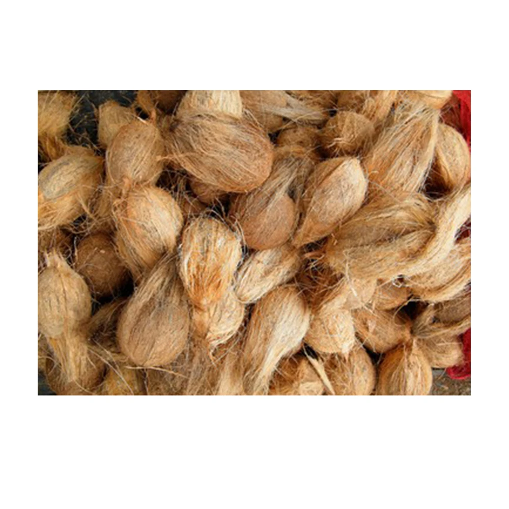 Bulk Supplier Dehusked Coconuts for Sale Cheap Price Young Coconut Dehusking