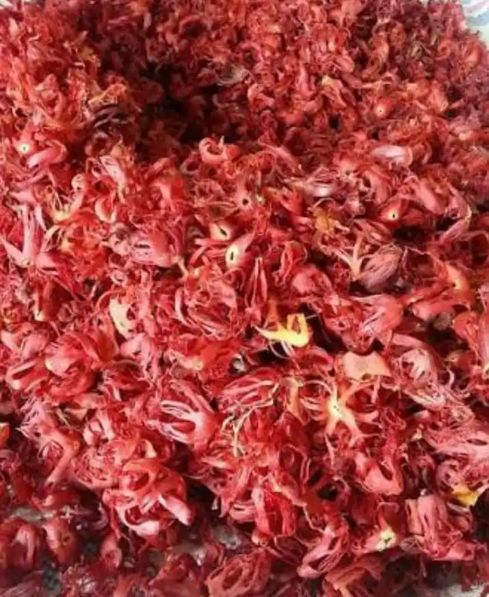  Mace цветок мускатного ореха Javitri хорошее качество ручной выбор или часто задаваемые вопросы. Качество экспорта