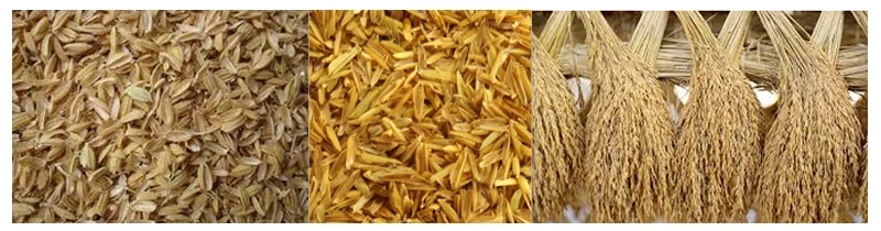  Натуральная рисовая шелуха оптовая продажа низкая цена от вьетнамской компании