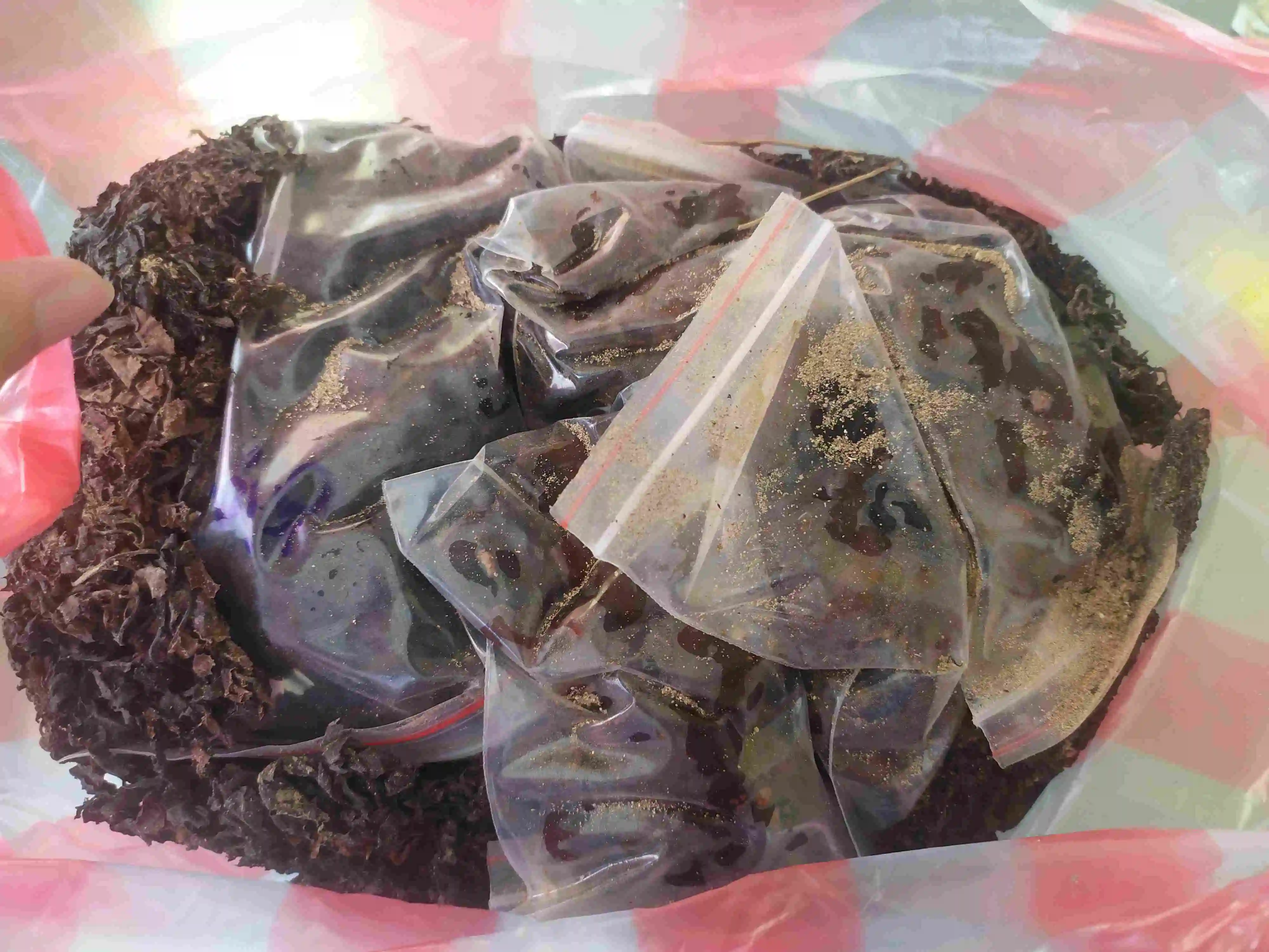 Сушеные водоросли саргассум и порошковые из Вьетнама свяжитесь с MS KATHY + 84 896650714