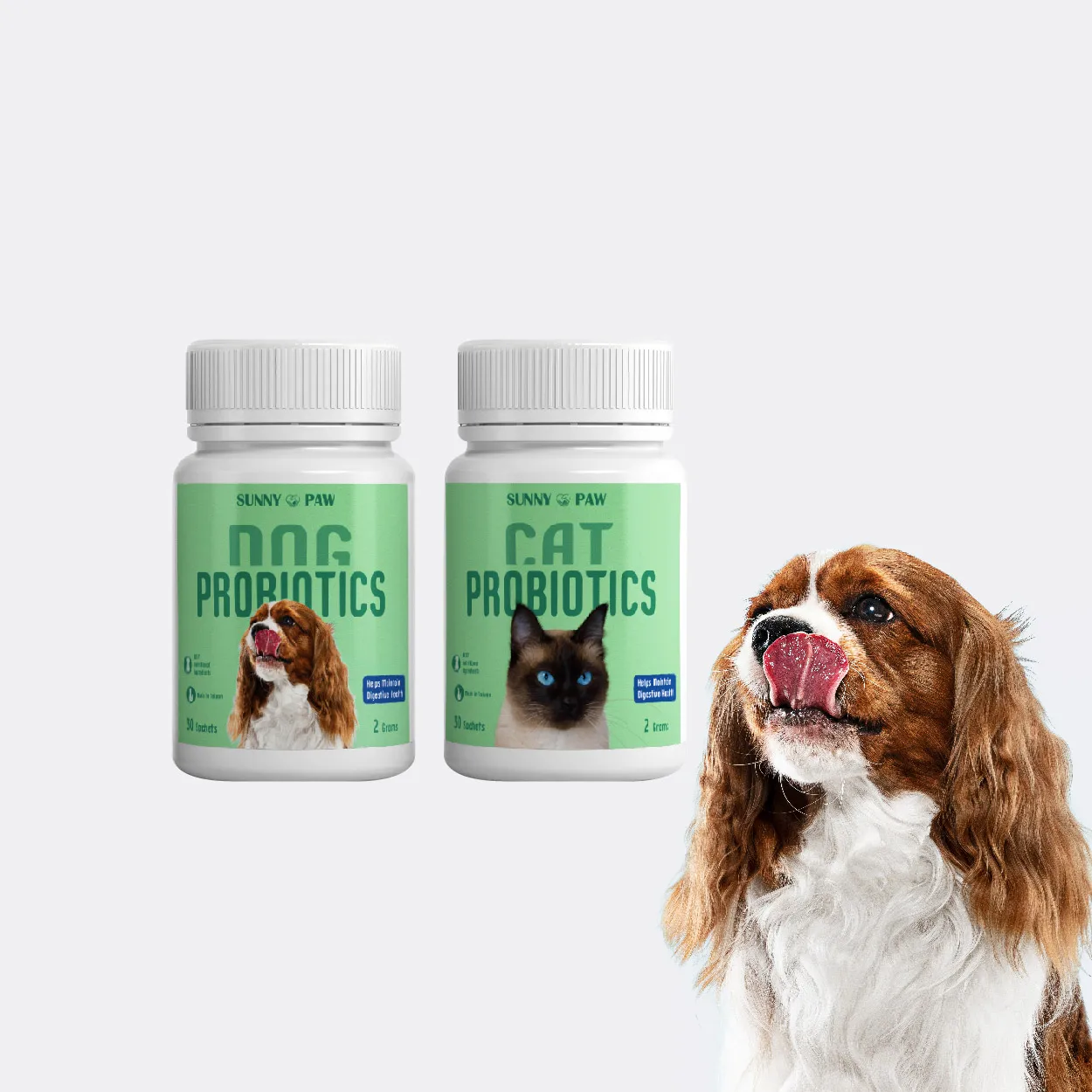 pet probiotics premium quality of Probiotic cat gets 100% Maximum supplement health care powder