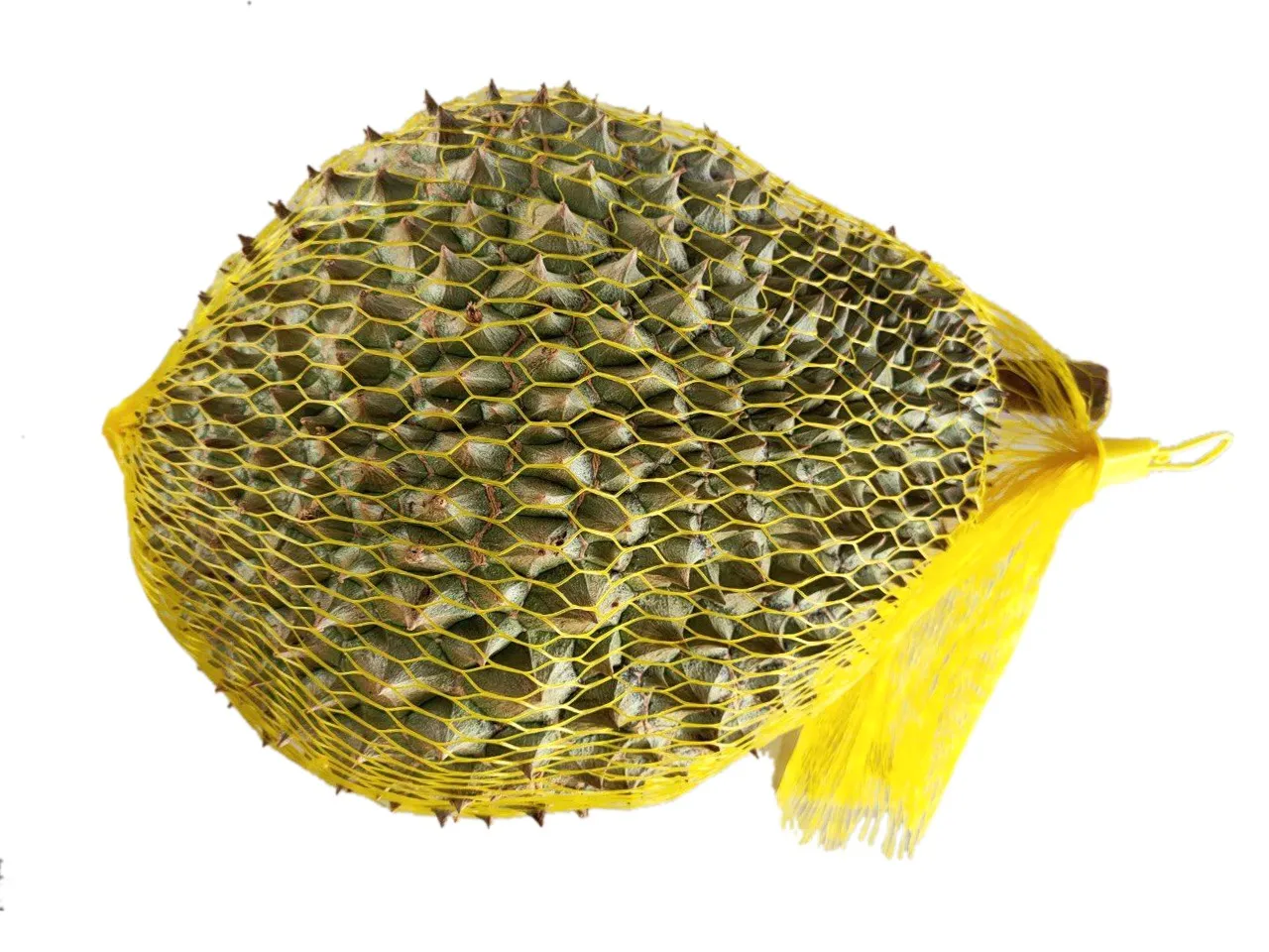 
fresh durians 