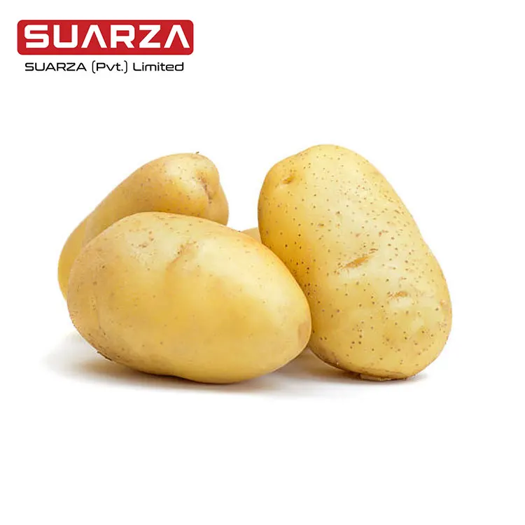 Горячая Распродажа, новый урожай свежего картофеля/желтого картофеля голландии/свежего пакистанского картофеля