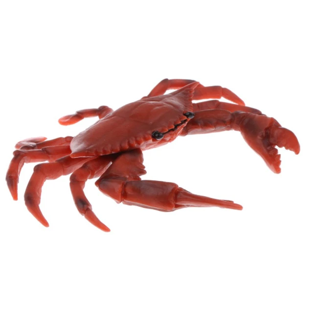  Premium Quality Fresh Crab/ live Mud Crab Green Colour For