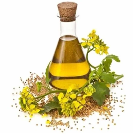Premium Quality Organic Celery Seed Oil For Soothing Digestive Issues Fully Pure Oils Wholesale Suppliers