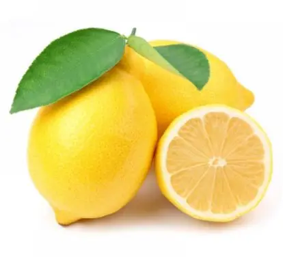 Fresh Lemon  Juicy Fresh Orange 2021 New Harvest Ready To Export BEST PRICE Mayer Enterdonato Lamas Eureka