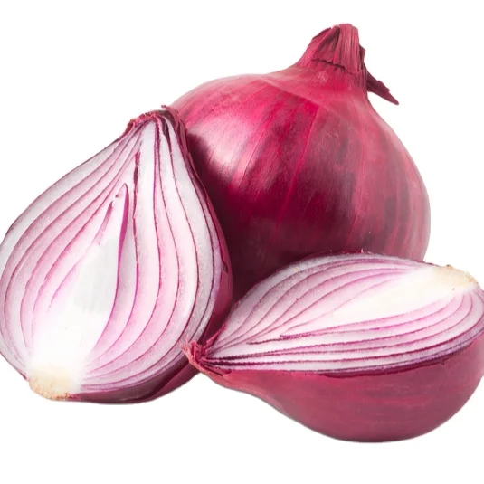 Свежий лук, лук высокого качества по лучшей цене для оптовой продажи из Южной Африки