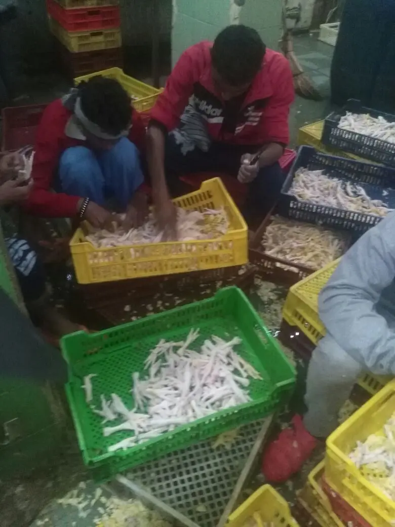 HIGH PREMIUM DUCK FEET 2021