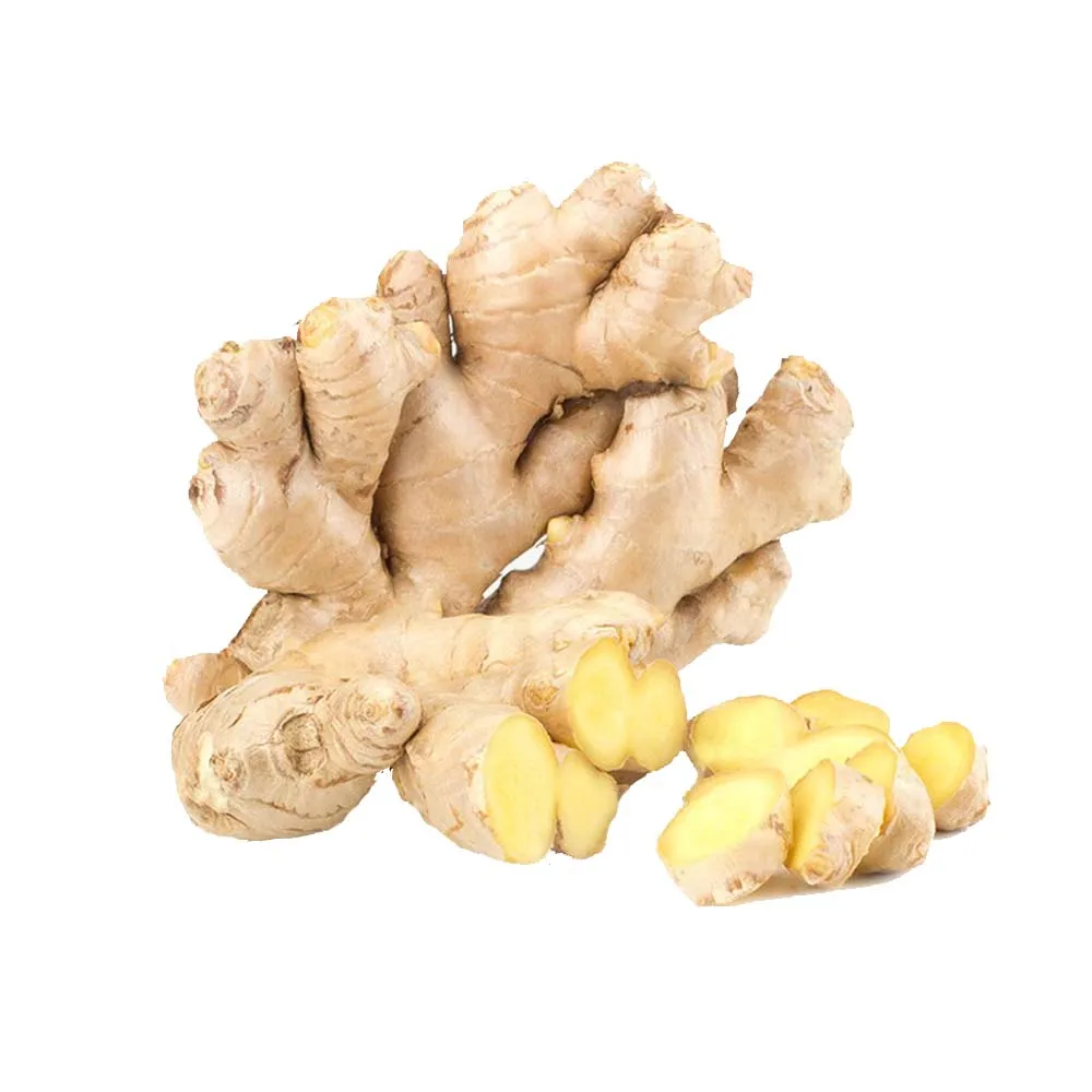 
Hight Quality Fresh Old Ginger from Thailand 
