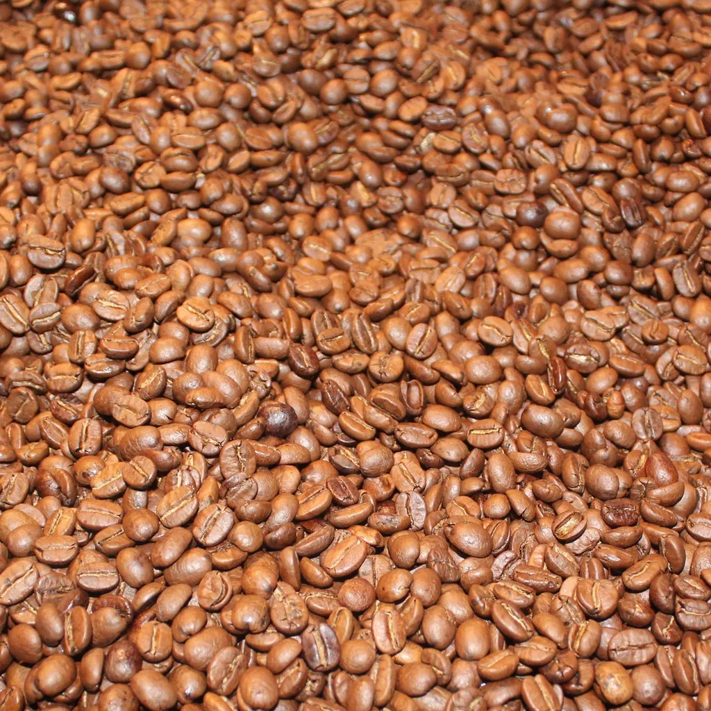 
Made in Vietnam Wholesales Green Beans Coffee Coffee Green Beans Robusta Coffee Bean 