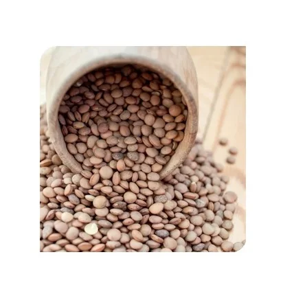 
Trusted Wholesale Supplier Of Red / Green Lentils At Cheap Price 