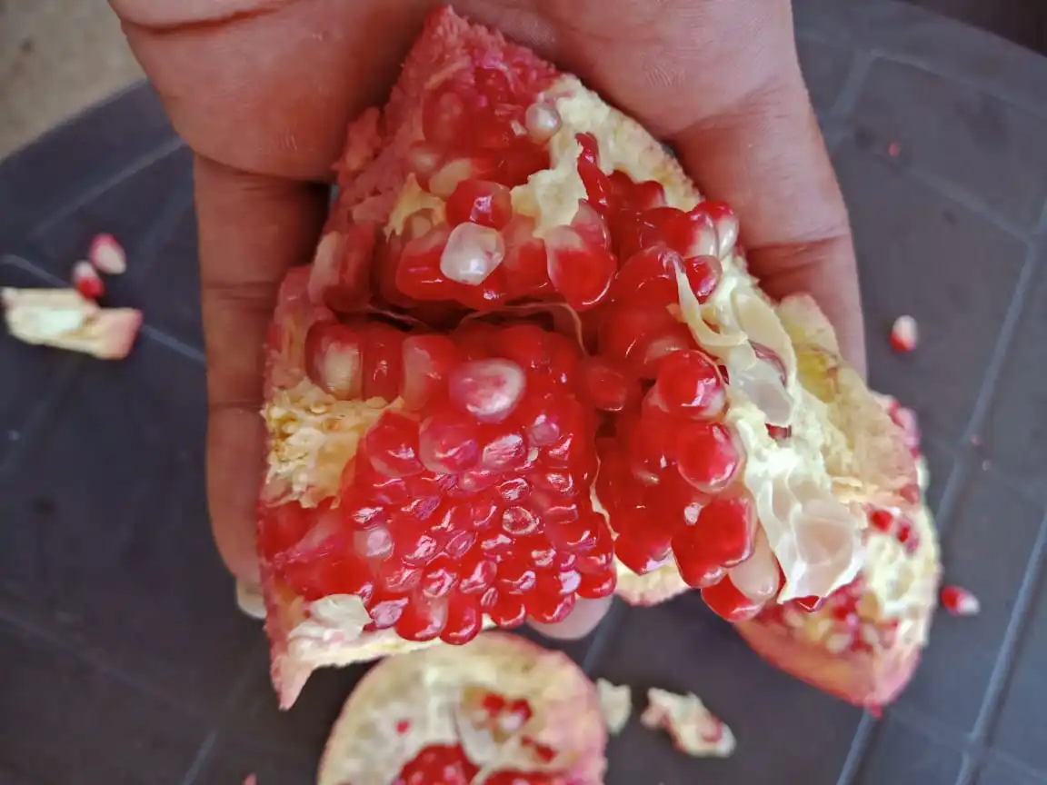 Свежий гранат замечательный