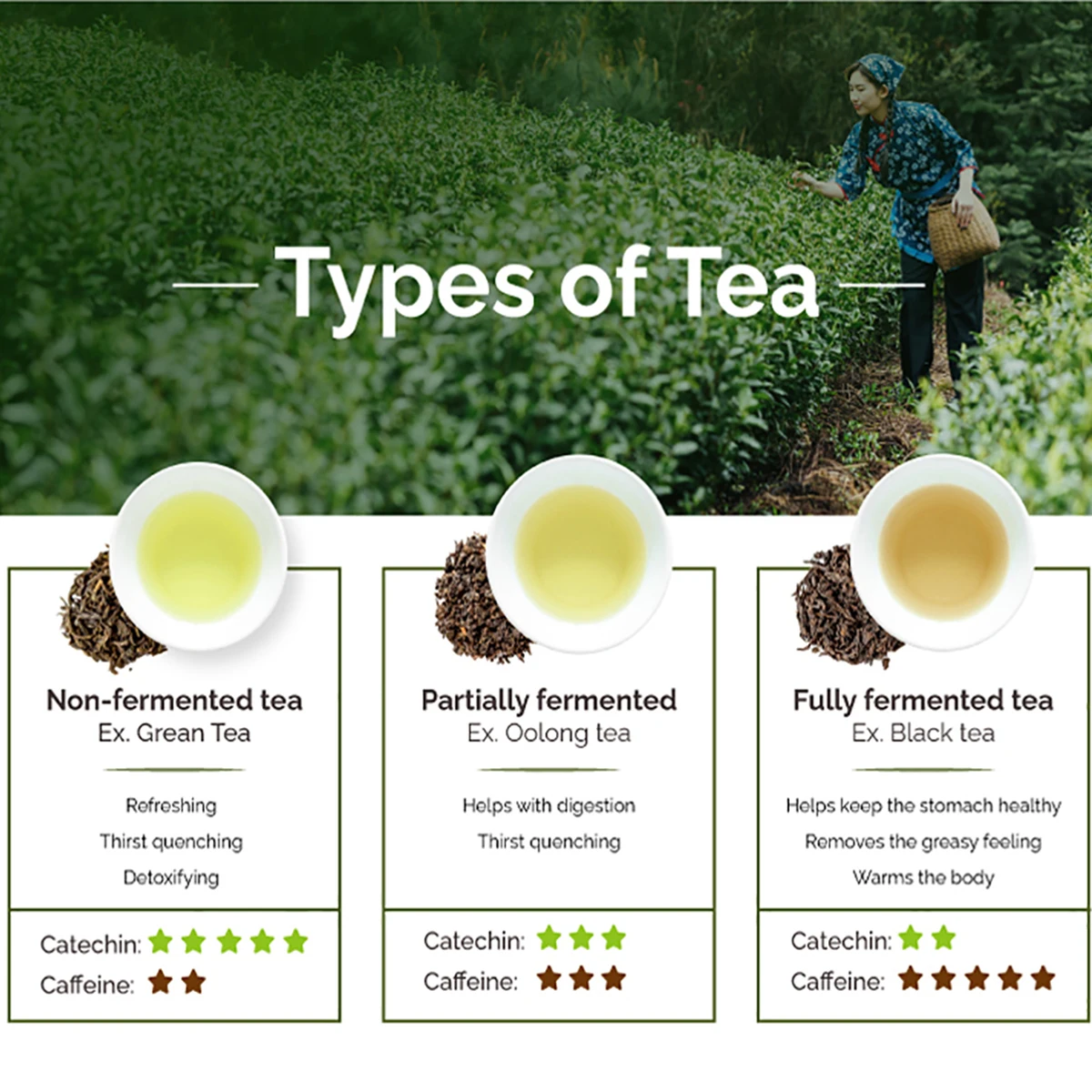 5 Stars Four Season Oolong Tea with Aluminum Bag