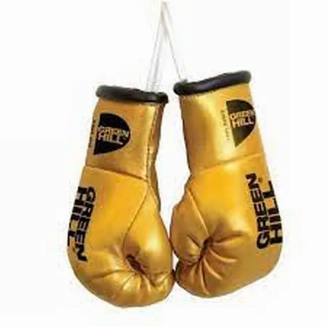 Good Quality gloves with Customized Logo Print Mini Boxing Gloves Keychain  OR Car mirror hang Made in Leather