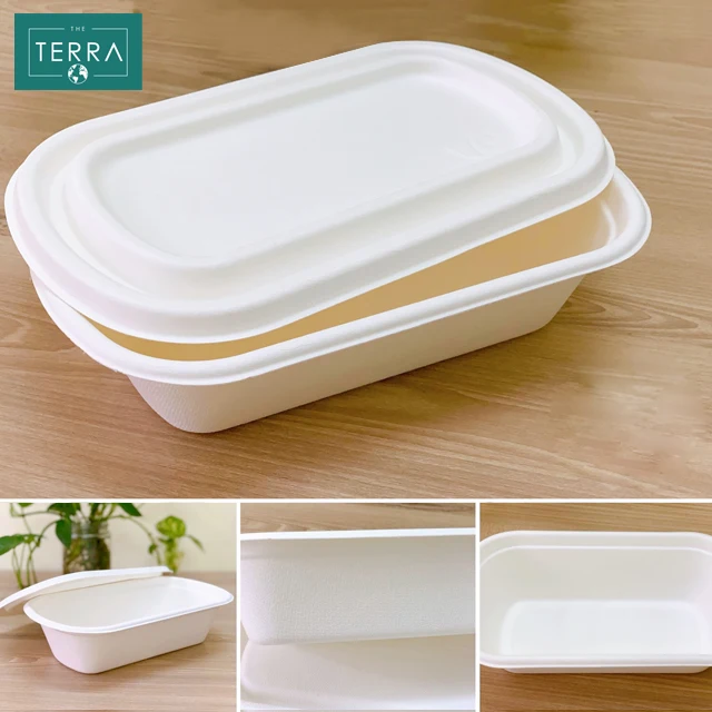 Vietnam Quality Food Biodegradable Packaging Surgarcane Bagasse Areca leaf White Natural RETANGUKAR Box With Lid