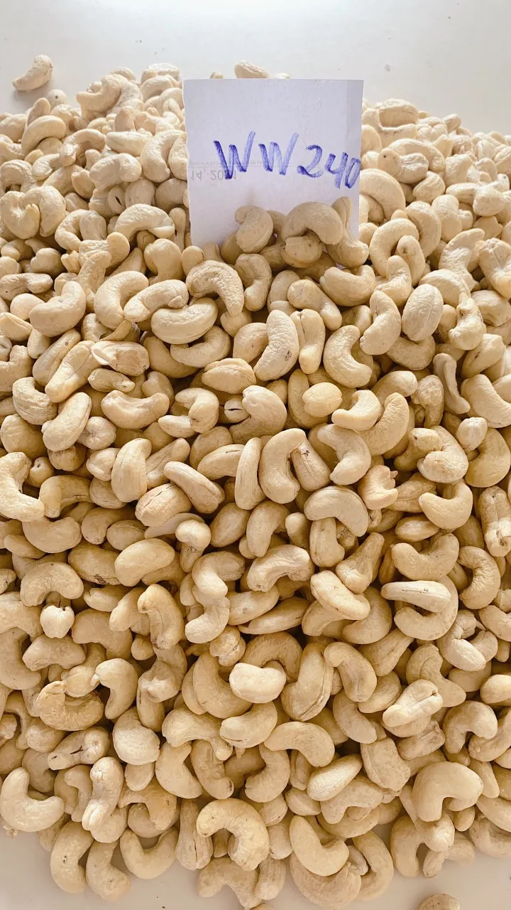 Vietnam Good Quality Cashew Nut Raw Bulk Cashews W240 Raw Cashew Nuts Prices Offered Dried Fruits Nuts