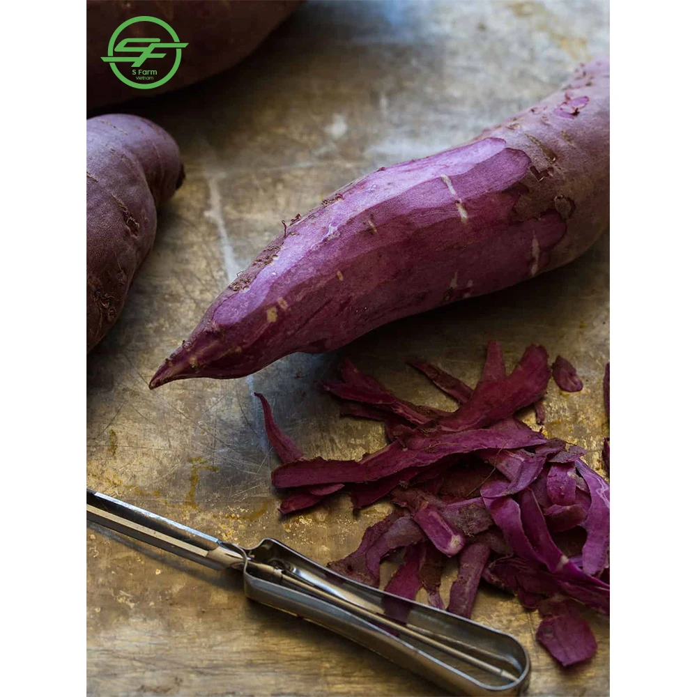 High quality fresh Organic sweet purple potatoes from Vietnam(Whatsapp/zalo/wechat: +84 912 964 858)