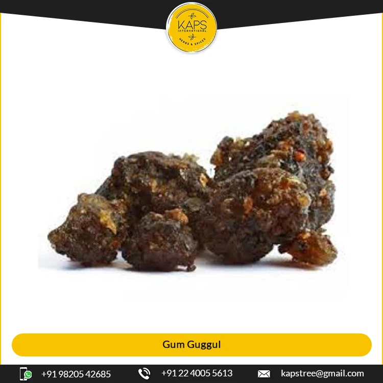 High Quality Burning Grade Gum Guggul for Sale