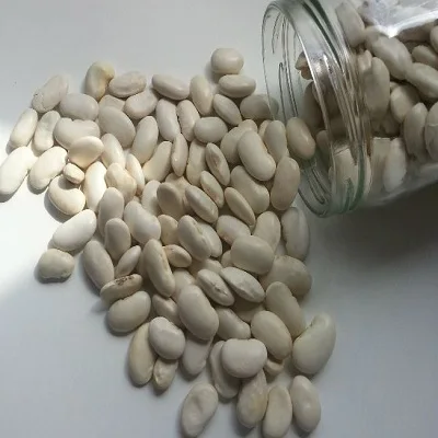 Белые Бобы лучшего