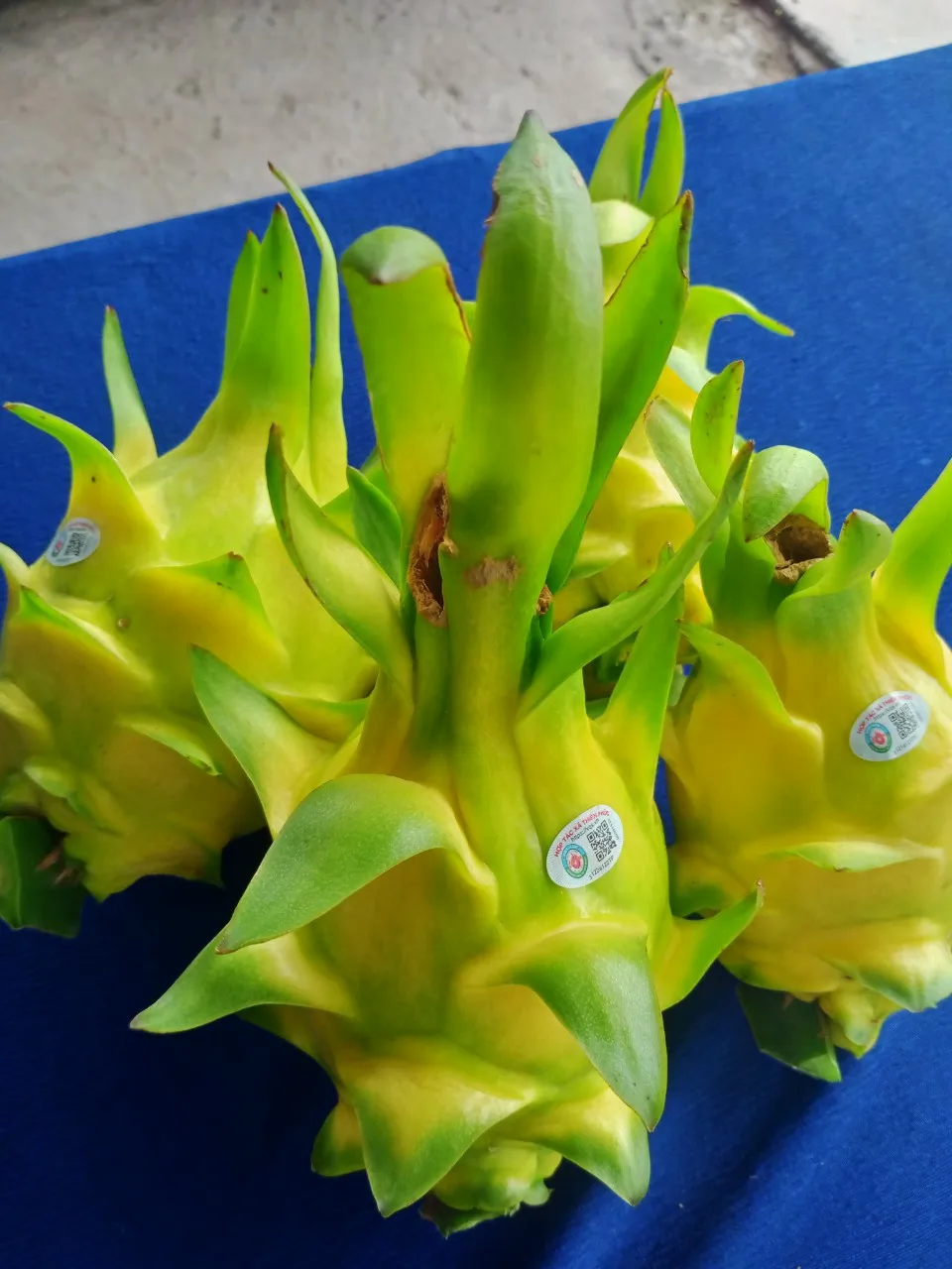 Yellow Skin Dragon Fruit Cheap Price Low MOQ Hot Selling Top Grade 2021 Best Quality Brand Supplier From Vietnam