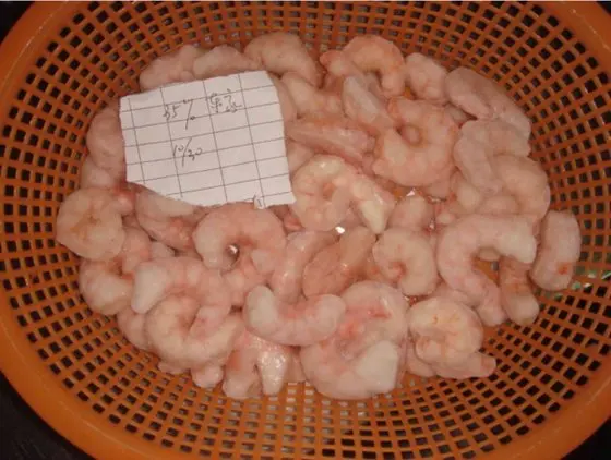 Shrimps.....jpg