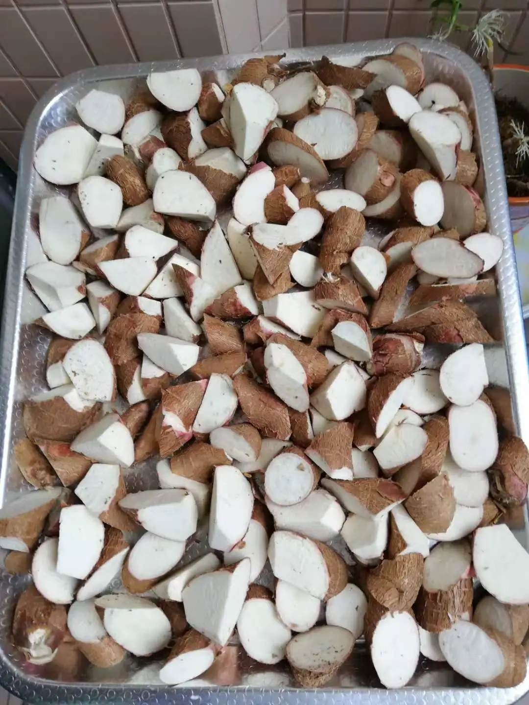 
Cassava Starch Tapioca Flour and Pellet 