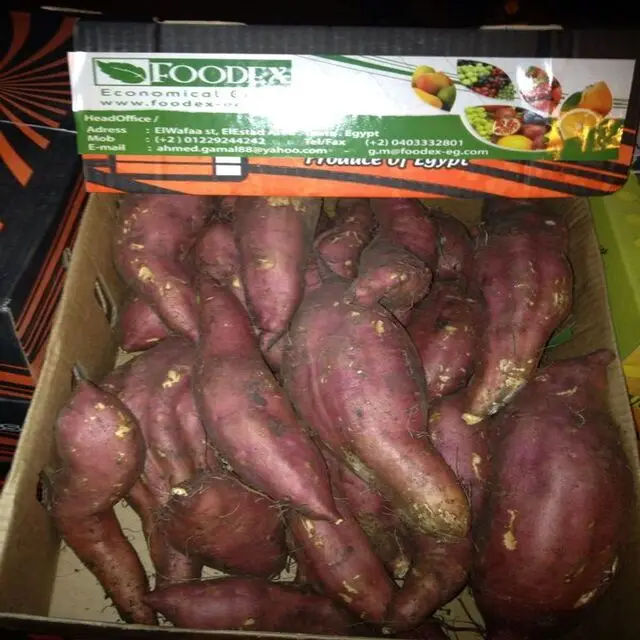 White Yellow  Red Purple Sweet potato