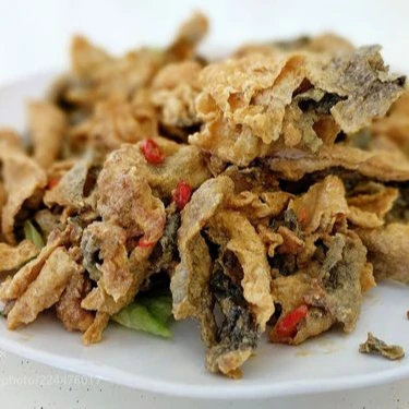 FRIED FISH SKIN FOR SEADFOOD SNACKS FROM VIETNAM (AMY +84 383 655 628)