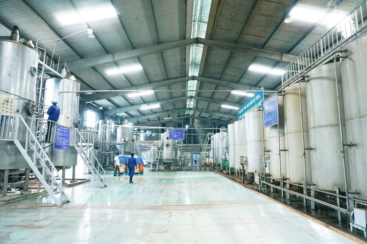 Кофейный порошок Robusta со вкусом шоколада и сливок от производителя мягкий вкус с высоким содержанием кофеина в объемной упаковке