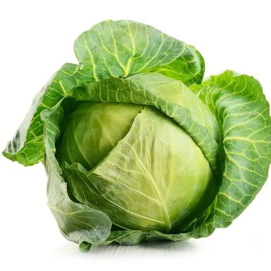 Chinese factory supply fresh vegetables fresh round cabbage Chinese cabbage price for sale