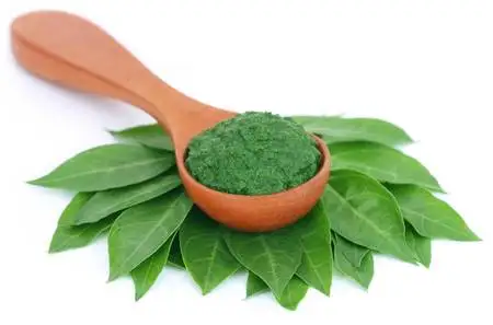 Indian Henna Powder and Long Lasting Herbal Hair Color Dye Organic Directly from Best Brand