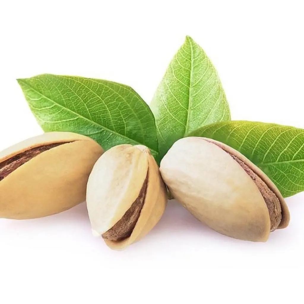 wholesale Bulk Healthy Nut Green Kernel Pistachios